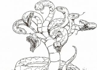 Libro para colorear de la serpiente Hydra