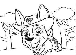 Divertente cane del cartone animato Paw Patrol da colorare