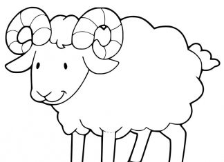 Satisfied ram with big horns coloring book