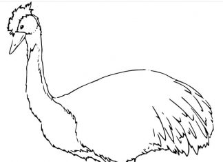 A thoughtful bird gazing at the grass coloring page