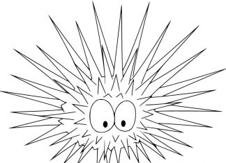 Surprised sea urchin as a picture to color