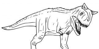 See what this prehistoric dinosaur looks like
