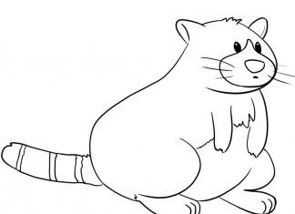 Desenho de Raposa do ártico pula para colorir