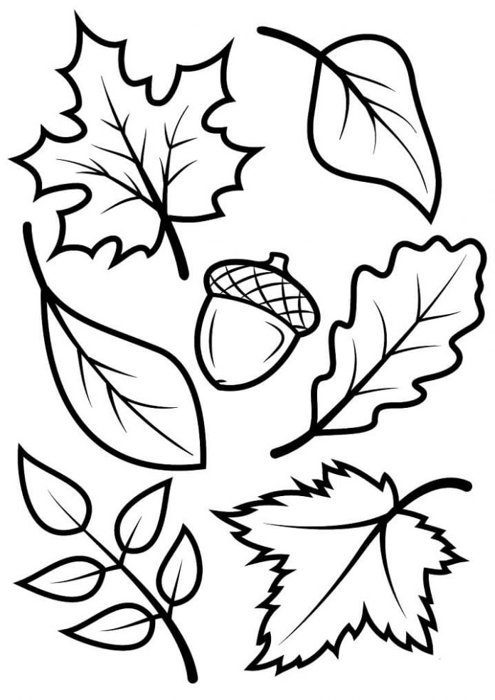 Autumn leaves coloring book for kids